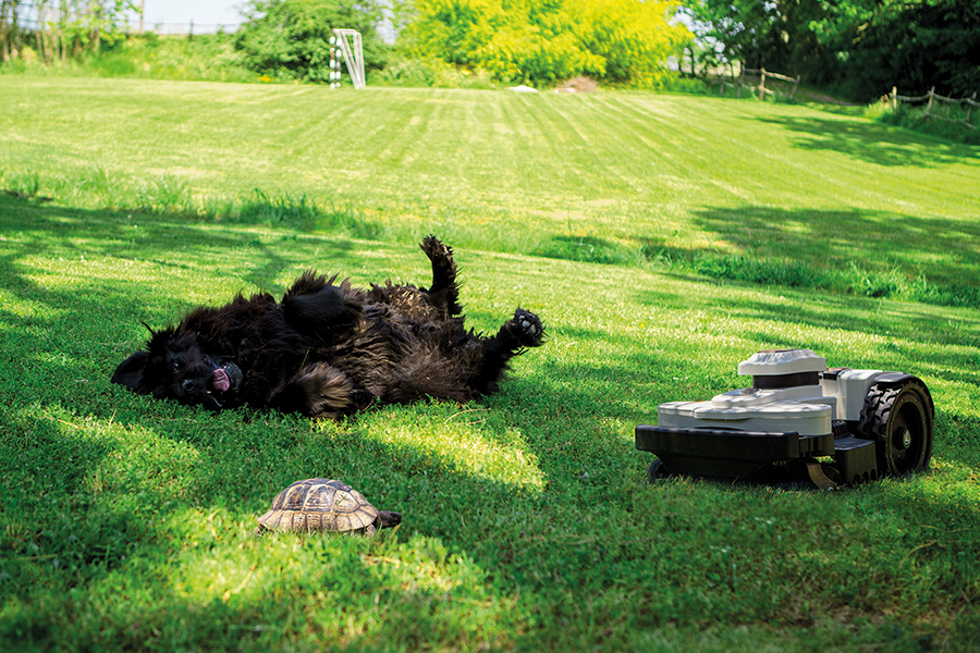 Ambrogio, a Friend to your garden and animals